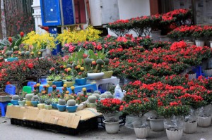 Hang Luoc- Famous Flower Market in Hanoi