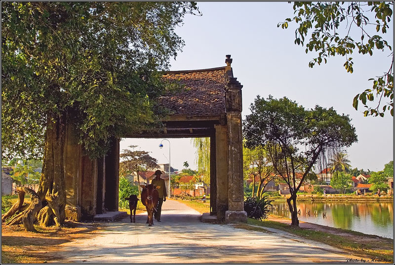 Kết quả hình ảnh cho Duong Lam Ancient Village