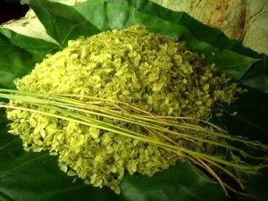 Lang Vong Green Sticky Rice- Autumn’s Special Nosh