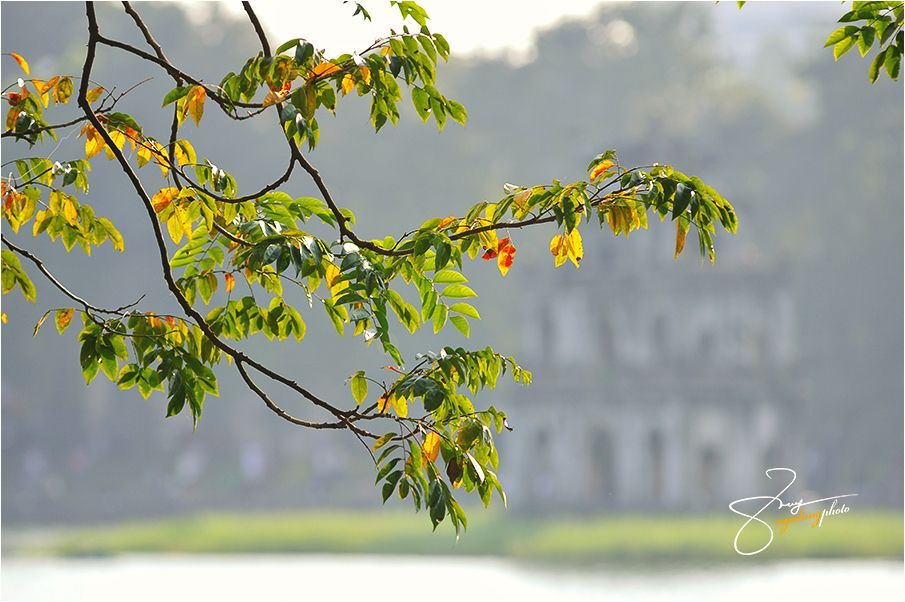 hanoi autumn (10)