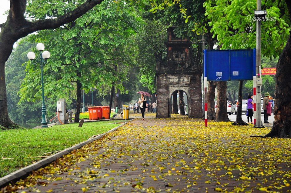 hanoi autumn (11)