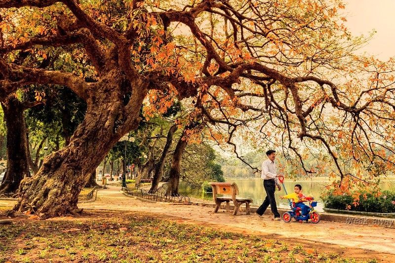 hanoi autumn (9)