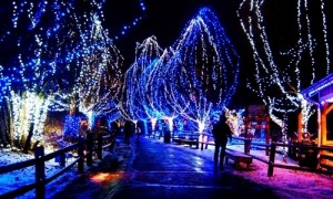 GREATEST CHRISTMAS FESTIVAL OF VIETNAM WITH WHITE PARK AND SNOW ROAD