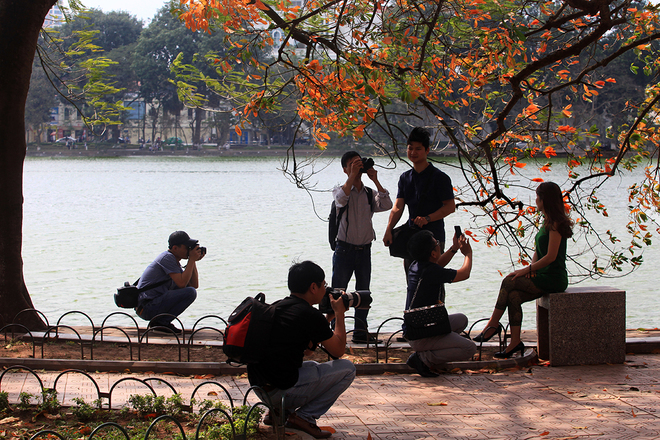 Barringtonia-Acutangula-Hanoi   (5)