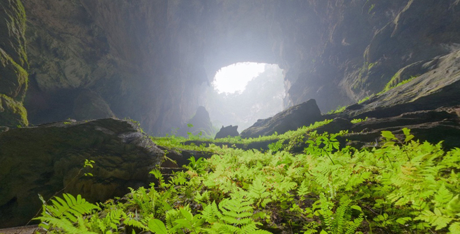 Son Doong Cave (9)