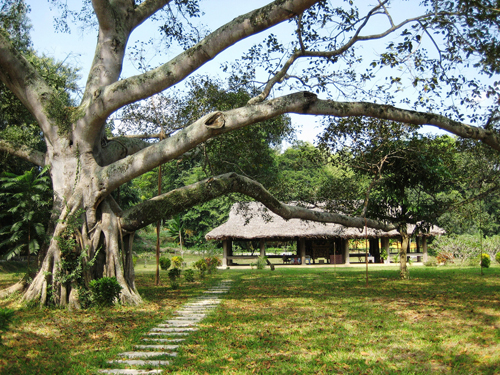 Tourist Attractions- War Relics In Northern Vietnam  (2)