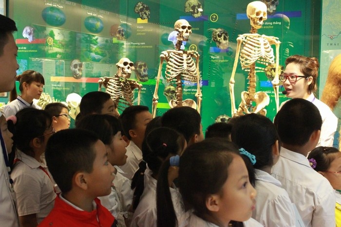 Vietnam National Museum of Nature (12)