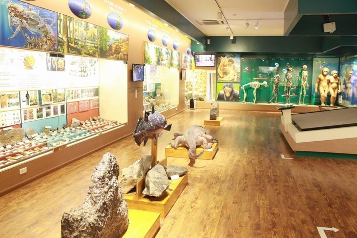 Vietnam National Museum of Nature (2)