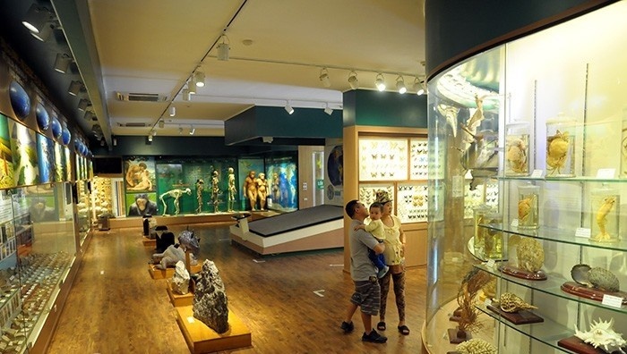 Vietnam National Museum of Nature (3)