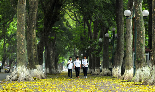 Peaceful Hanoi In Early Days Of Autumn  (1)