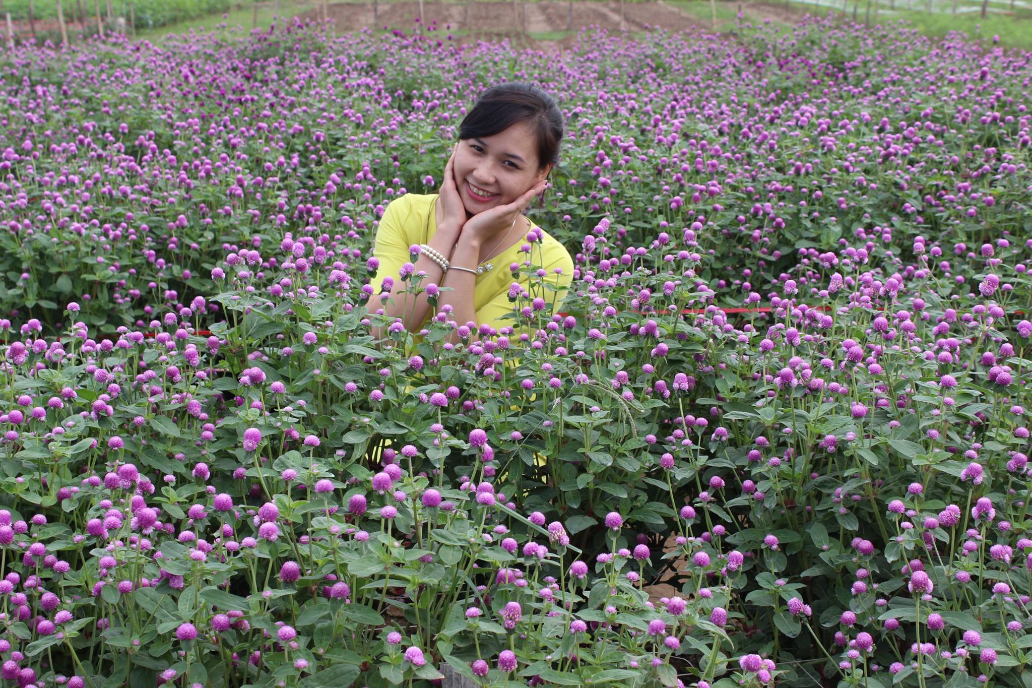 Flower Red River Ground Attracts A Lot Of Visitors  (2)