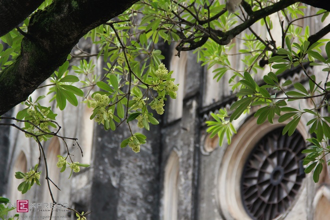 More Stunning Hanoi In Autumn (1)