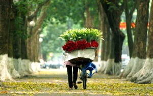HANOI CALLS FOR VOTES TO BECOME WORLD’S LEADING CITY DESTINATION