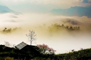 Wondering cloud paradises in the Northest Vietnam