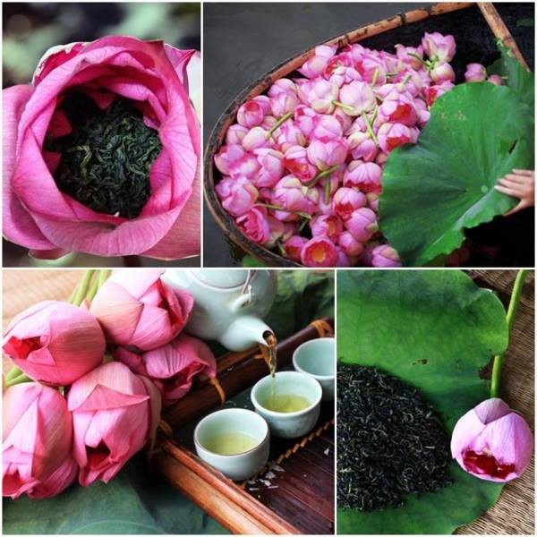 Lotus tea - the peak of Vietnamese tea