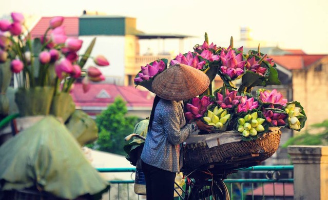 A vendor selling lotus on a street of Hanoi